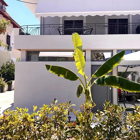Downtown - Signature